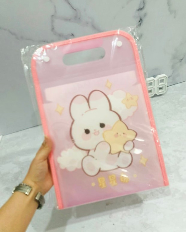 پوشه دیوایدری