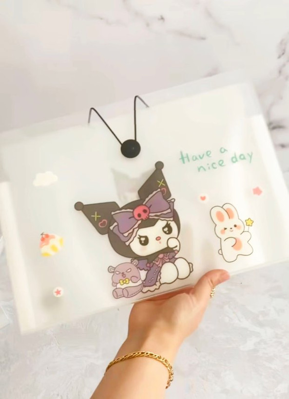 پوشه طبقاتی کرومی