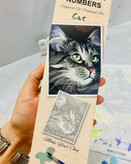 نقاشی شماره ای بزرگسال