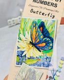 نقاشی شماره ای ابرنگی